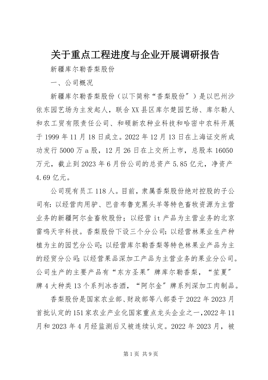 2023年重点项目进度与企业发展调研报告.docx_第1页