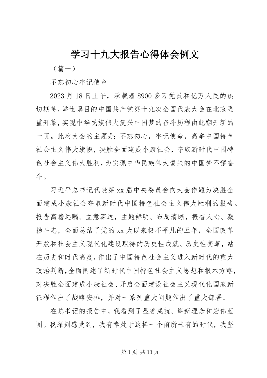 2023年学习十九大报告心得体会例文.docx_第1页