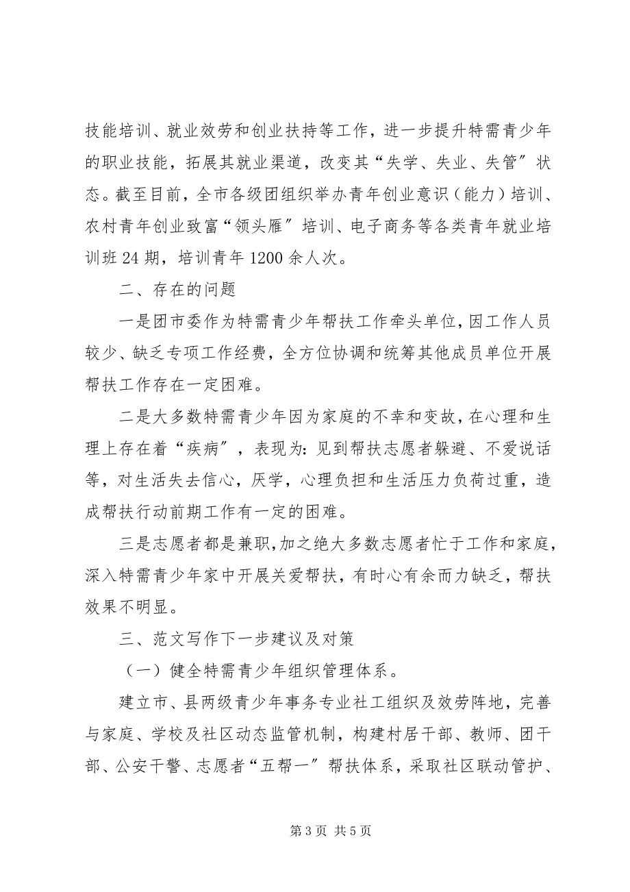 2023年有关加强特需青少年关爱帮扶的调研报告.docx_第3页