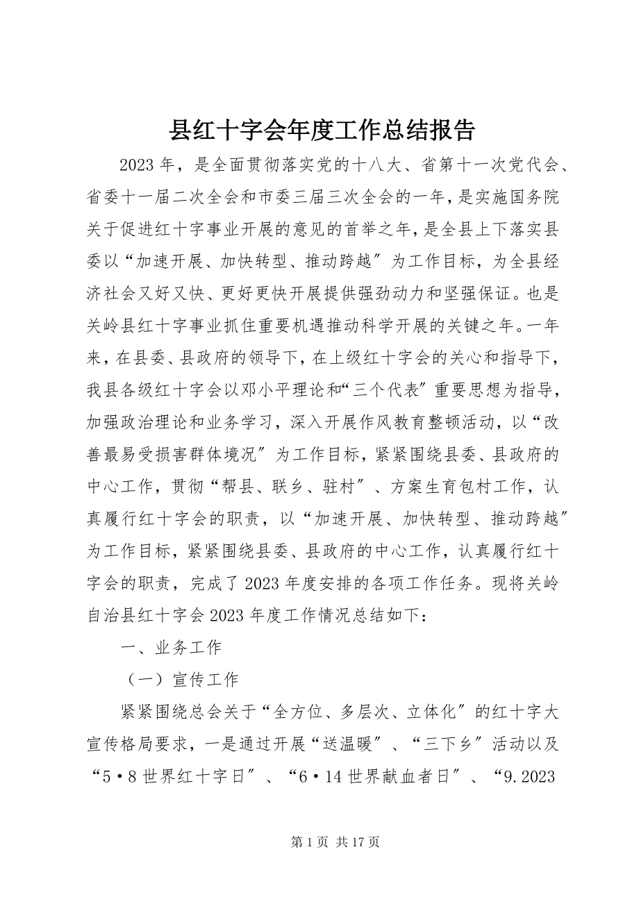 2023年县红十字会年度工作总结报告.docx_第1页