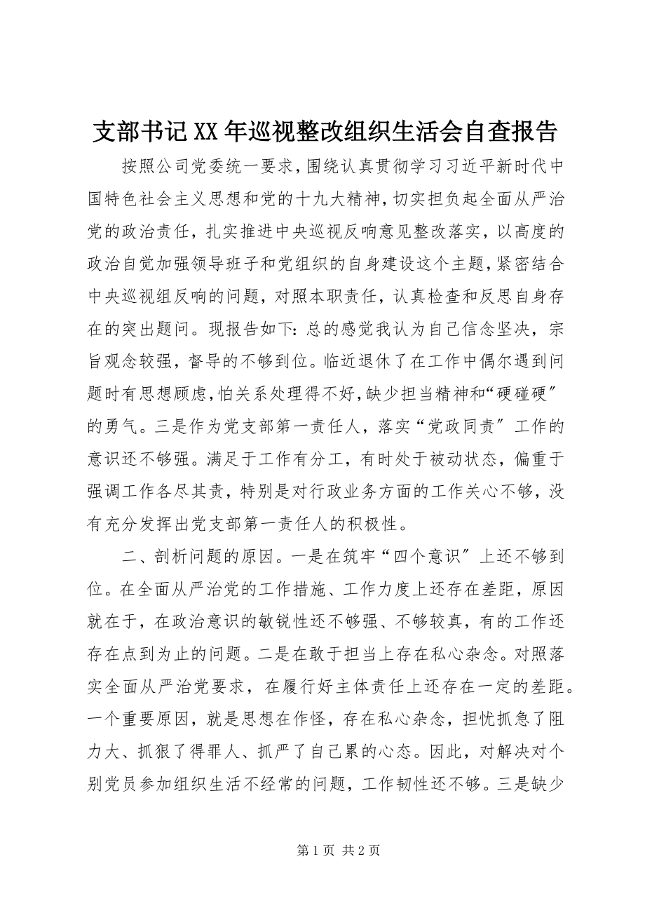 2023年支部书记巡视整改组织生活会自查报告2.docx_第1页