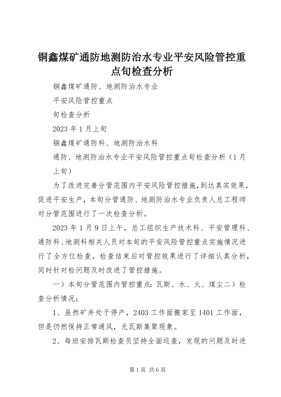 2023年铜鑫煤矿通防地测防治水专业安全风险管控重点旬检查分析.docx_第1页