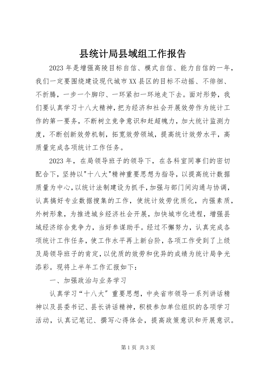 2023年县统计局县域组工作报告.docx_第1页