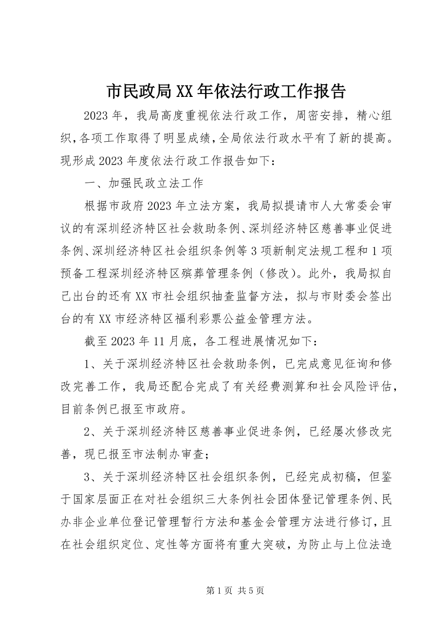 2023年市民政局依法行政工作报告2.docx_第1页