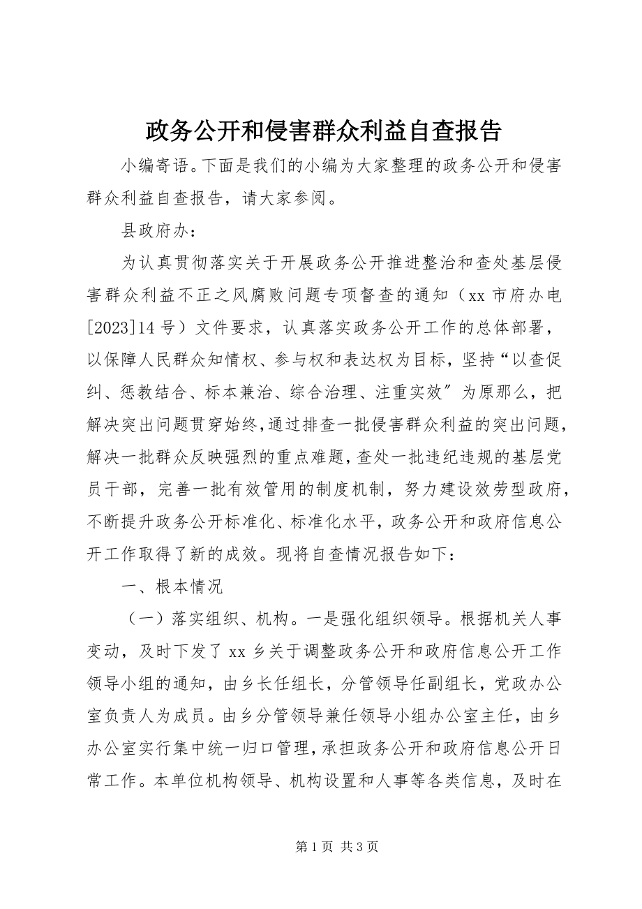 2023年政务公开和侵害群众利益自查报告.docx_第1页