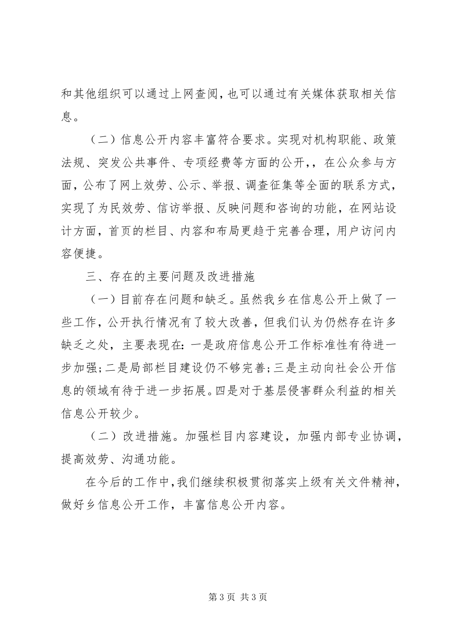 2023年政务公开和侵害群众利益自查报告.docx_第3页