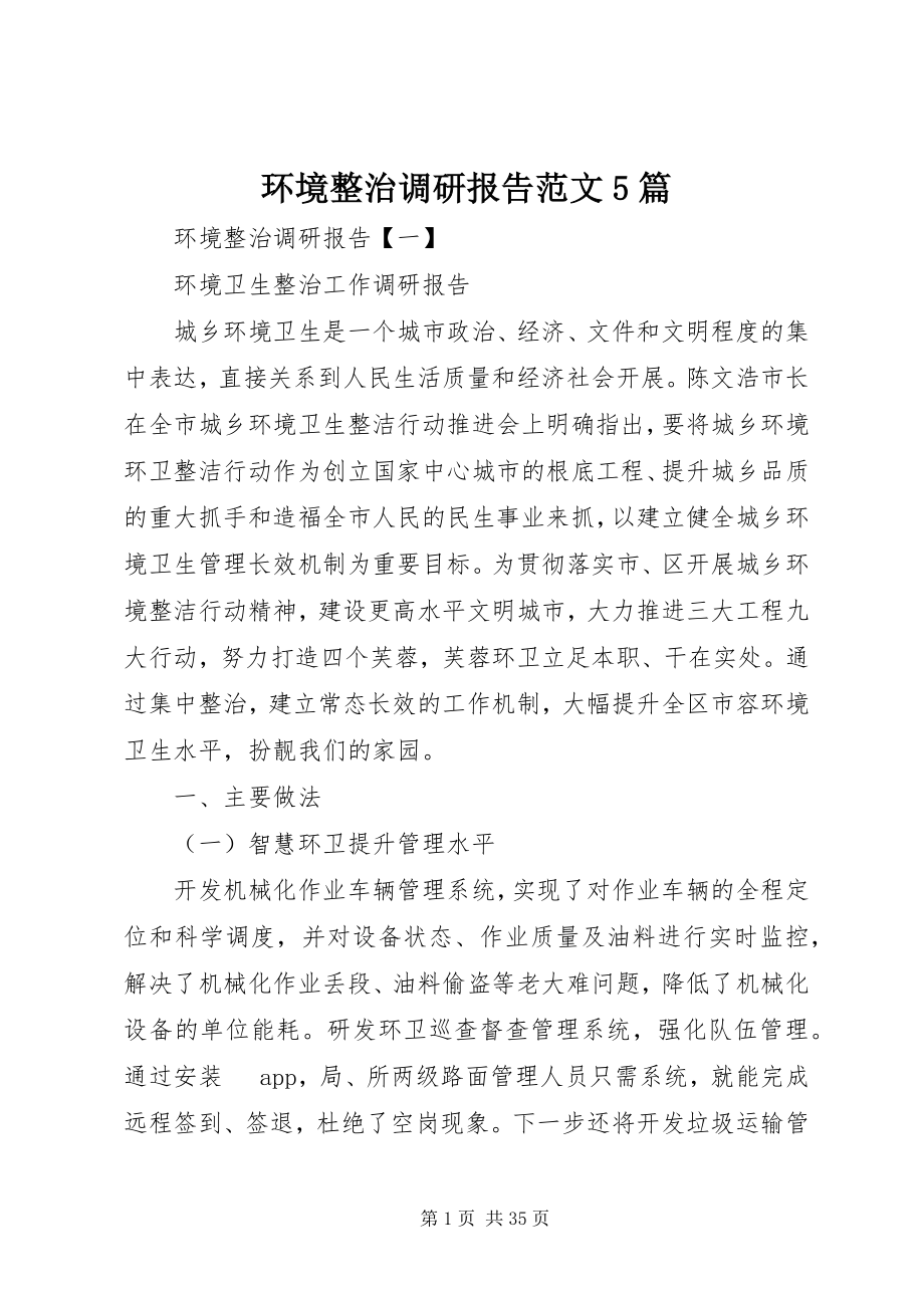 2023年环境整治调研报告5篇.docx_第1页