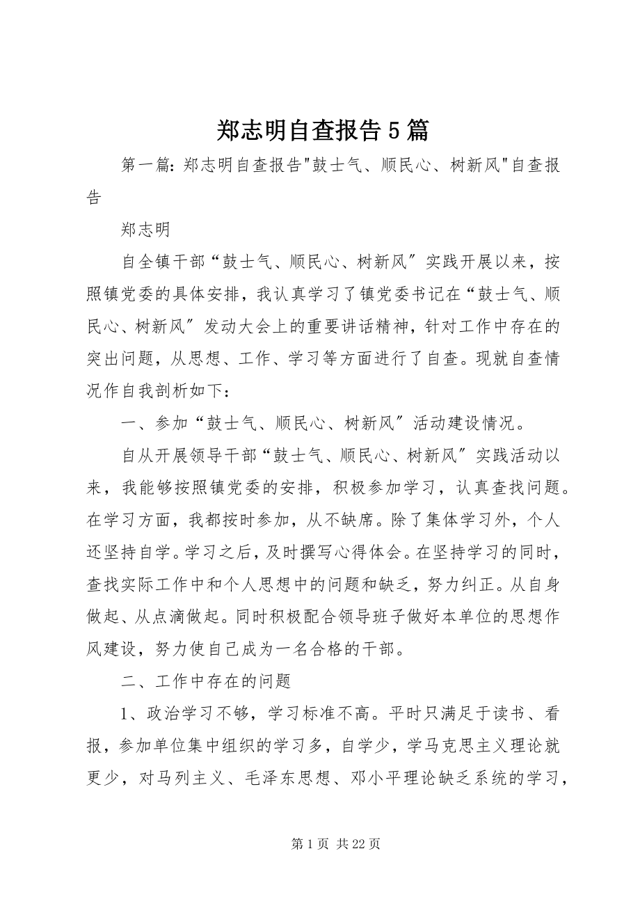 2023年郑志明自查报告5篇.docx_第1页