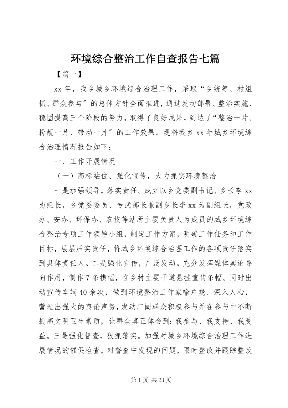 2023年环境综合整治工作自查报告七篇.docx_第1页