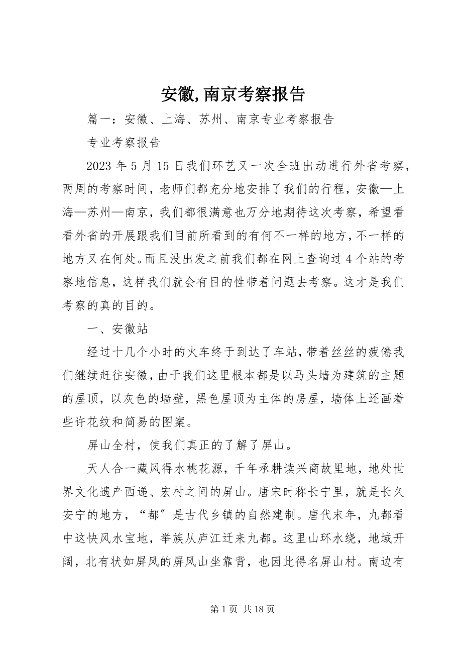 2023年安徽南京考察报告新编.docx_第1页