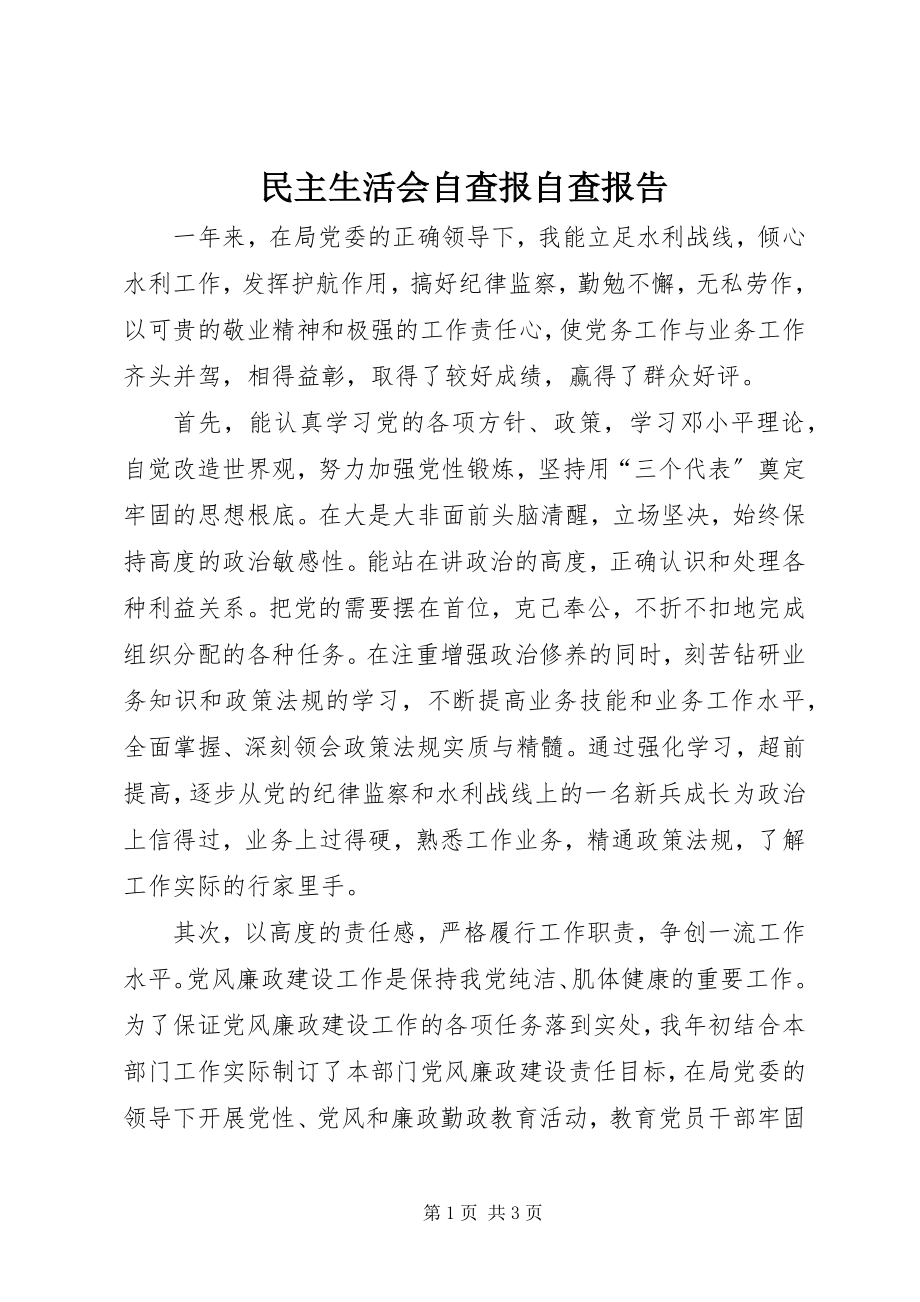 2023年民主生活会自查报自查报告.docx_第1页