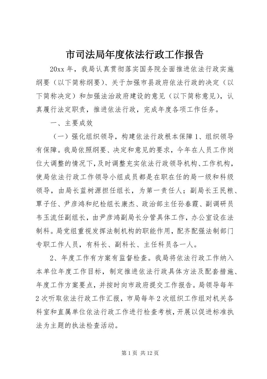 2023年市司法局年度依法行政工作报告.docx_第1页