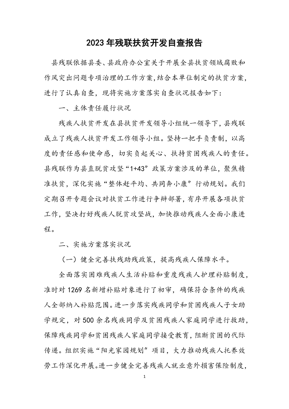 2023年残联扶贫开发自查报告.docx_第1页