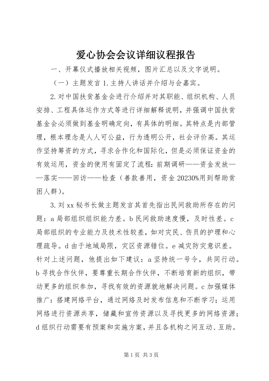 2023年爱心协会会议详细议程报告新编.docx_第1页