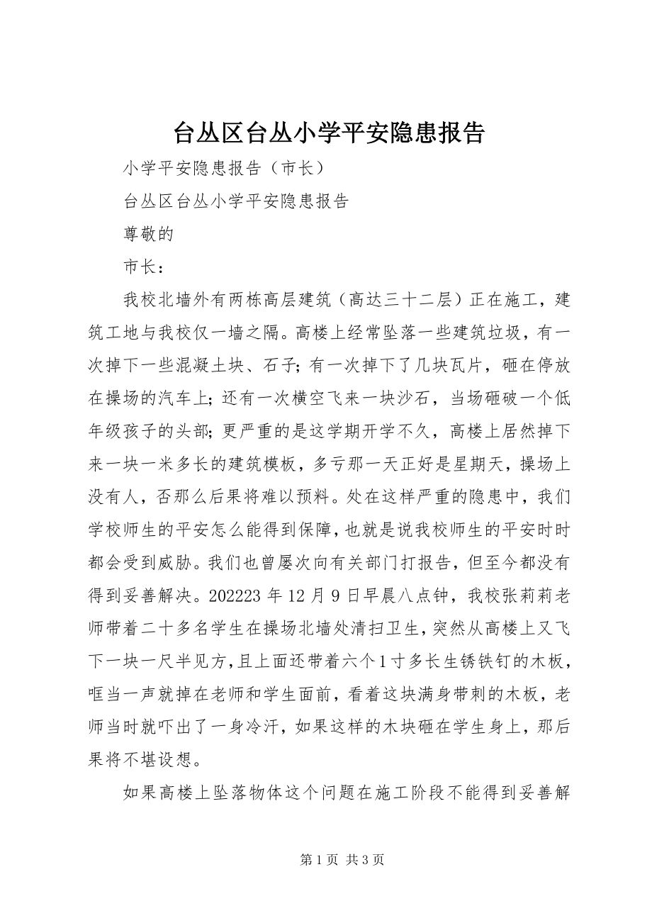 2023年台丛区台丛小学安全隐患报告.docx_第1页