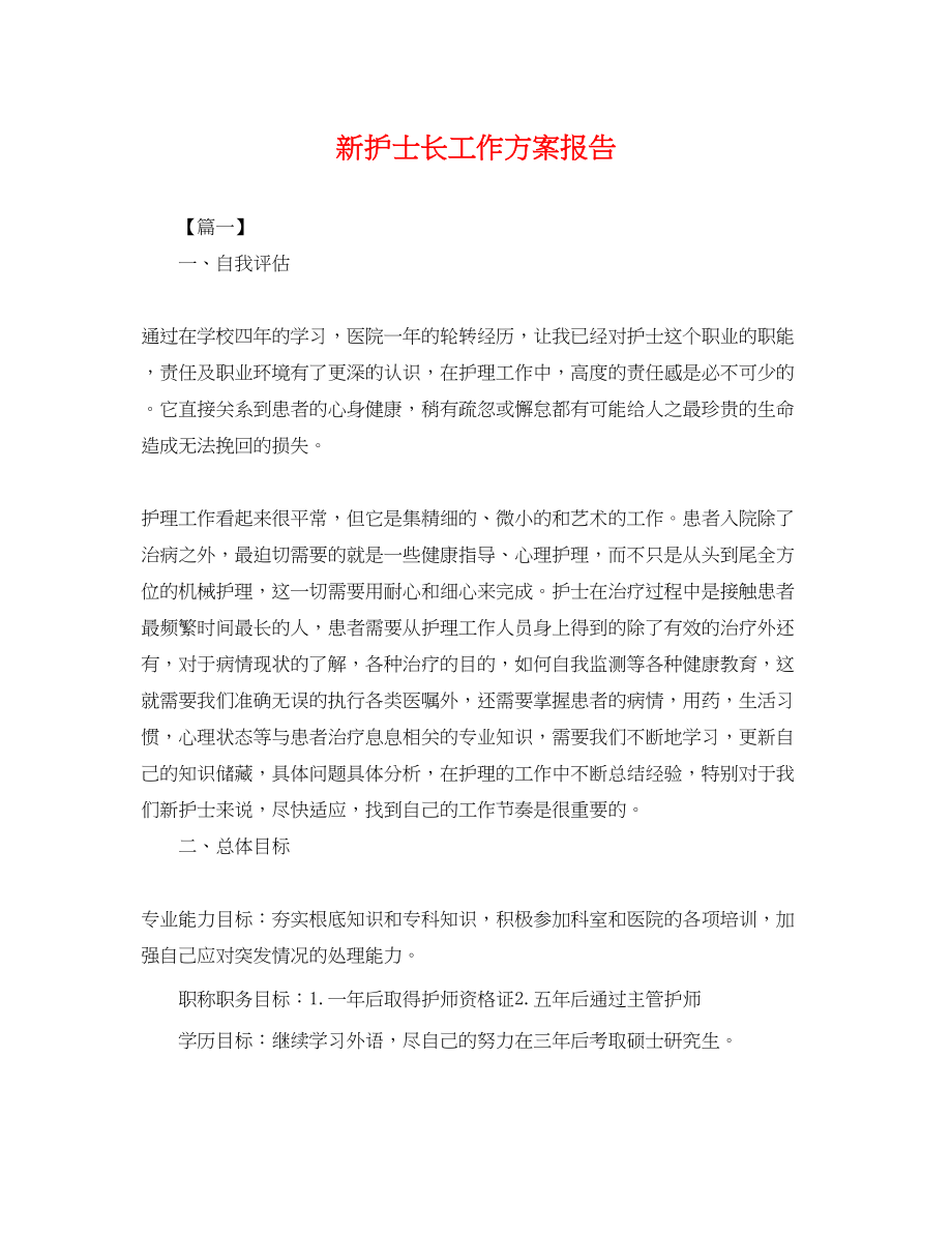 2023年新护士长工作计划报告.docx_第1页