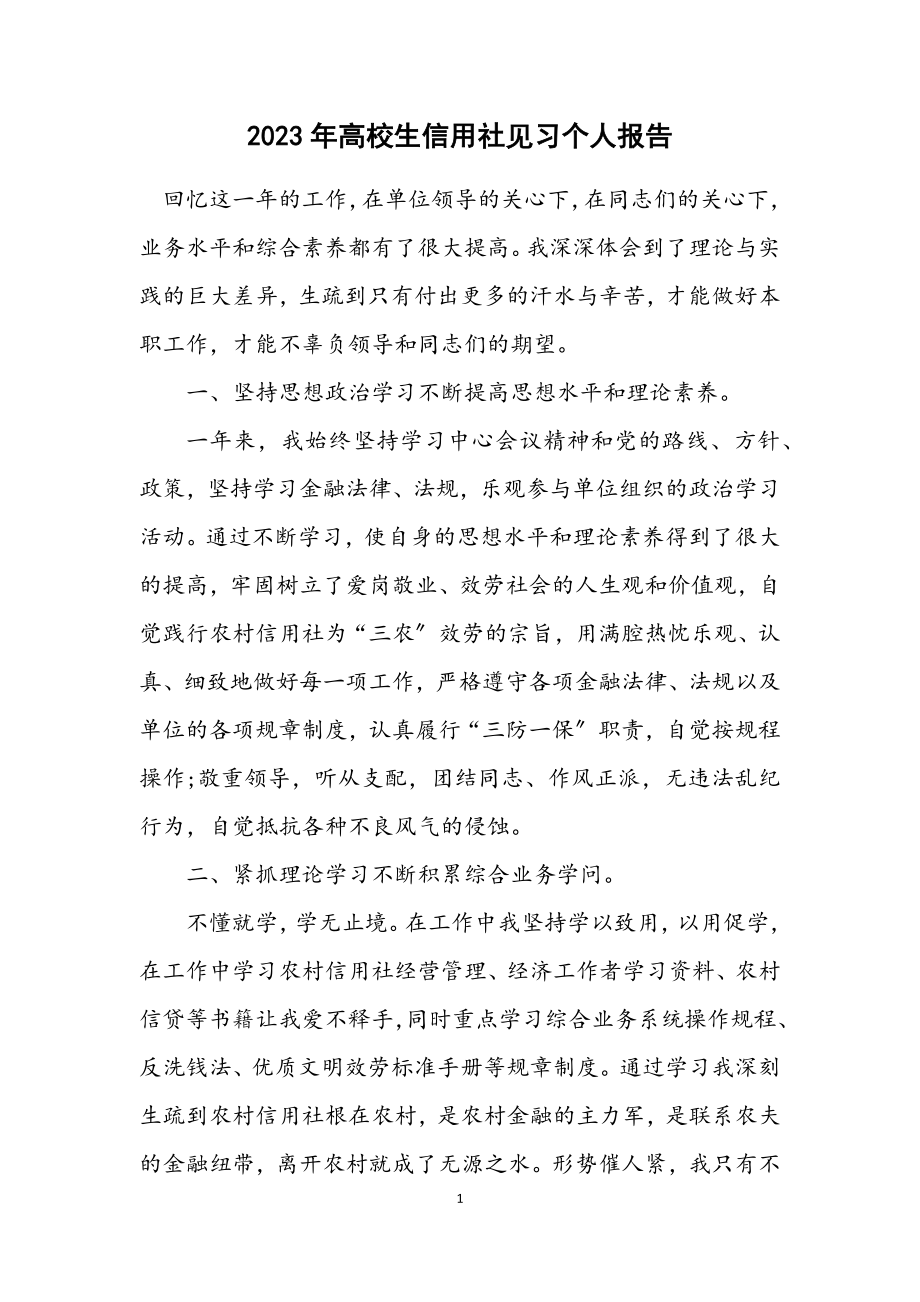 2023年大学生信用社见习个人报告.docx_第1页