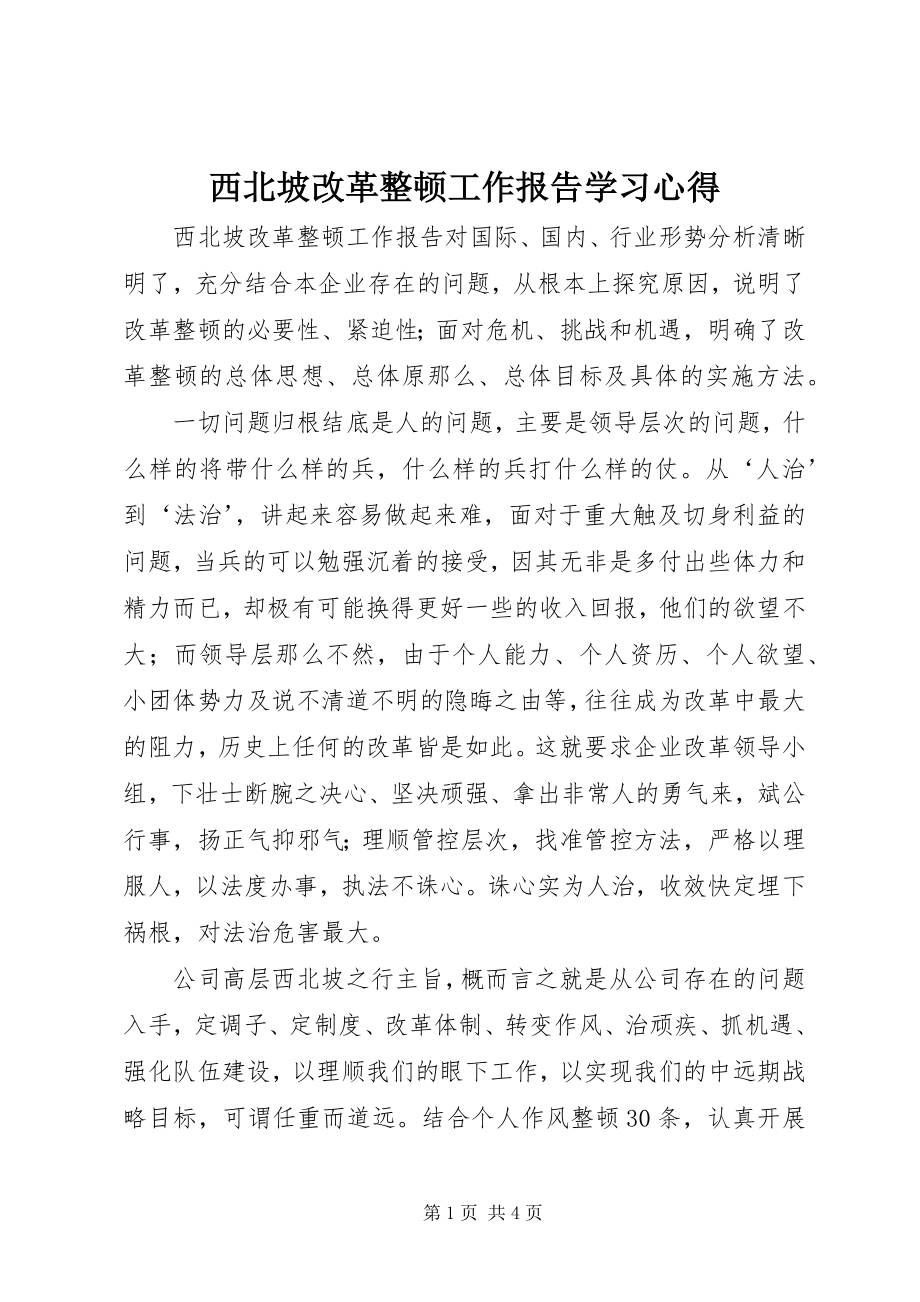 2023年西北坡改革整顿工作报告学习心得.docx_第1页