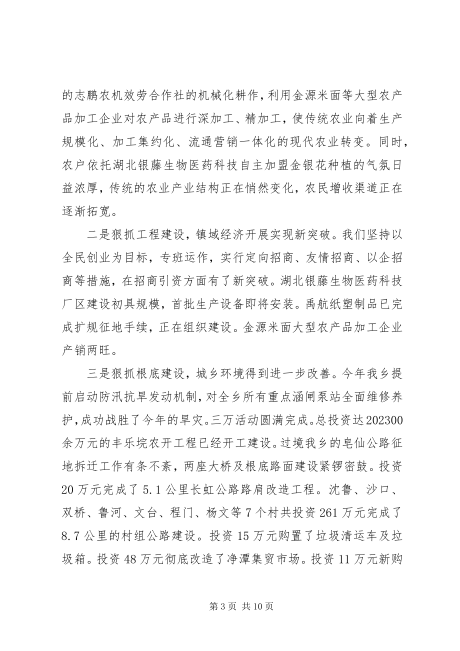 2023年终乡镇党政领导班子述职述廉报告.docx_第3页