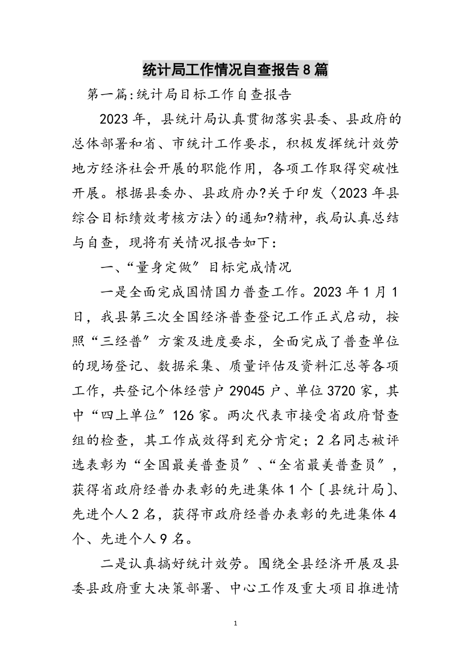 2023年统计局工作情况自查报告8篇范文.doc_第1页