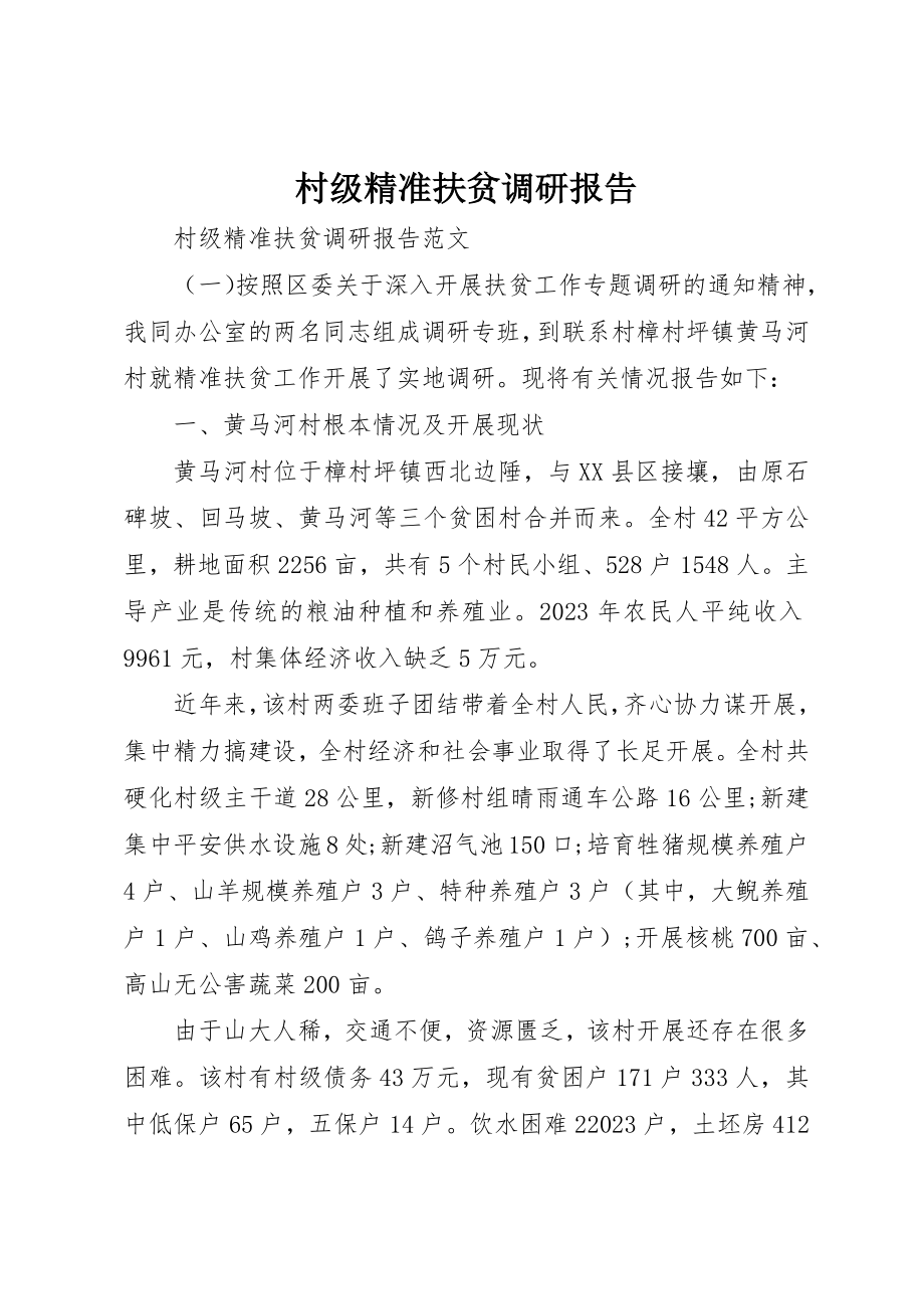 2023年村级精准扶贫调研报告新编.docx_第1页