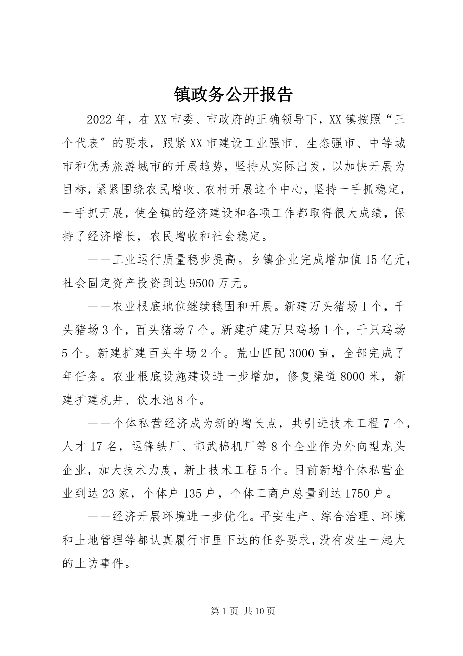 2023年镇政务公开报告.docx_第1页