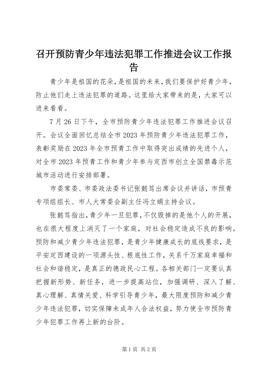 2023年召开预防青少年违法犯罪工作推进会议工作报告.docx_第1页