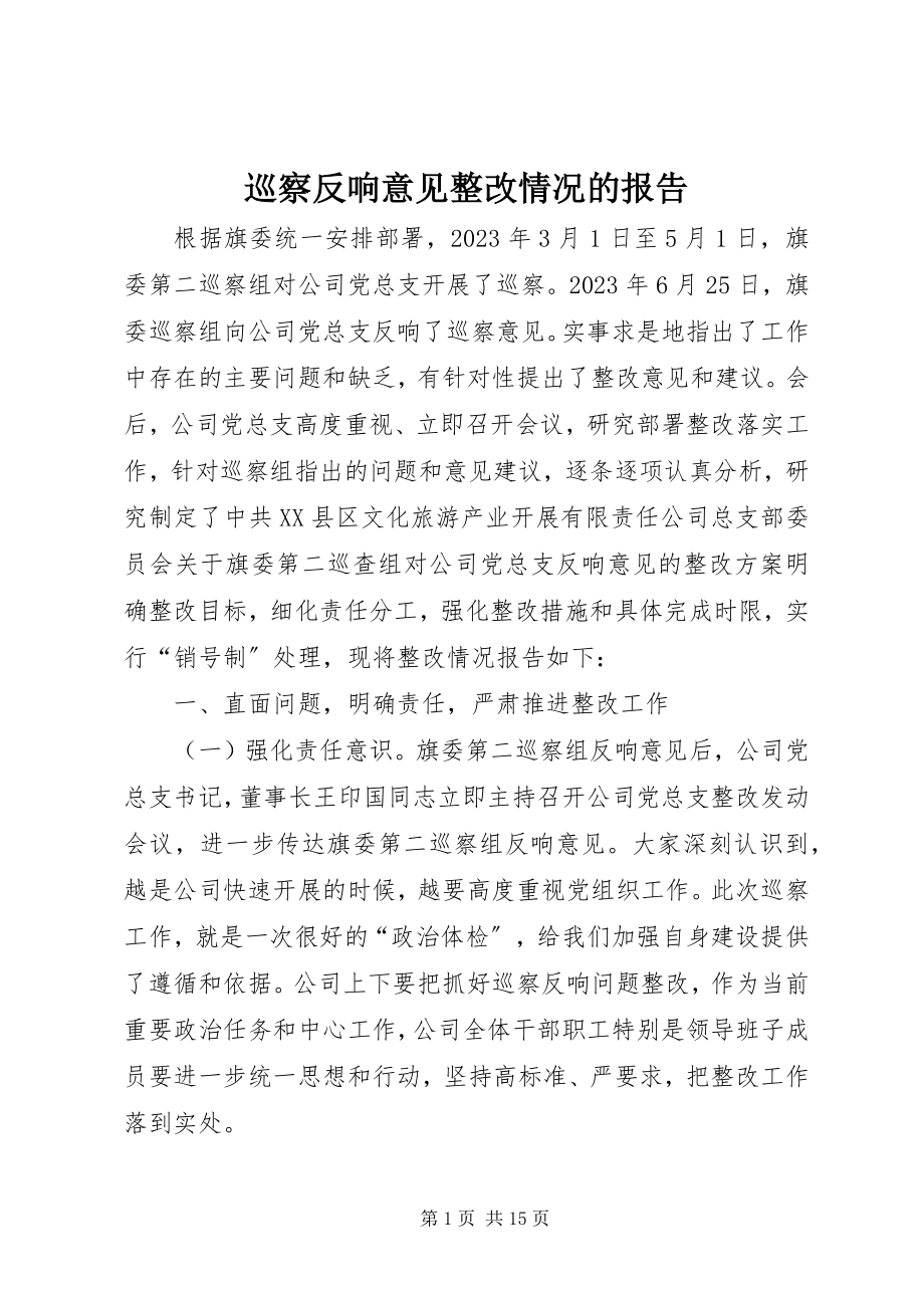 2023年巡察反馈意见整改情况的报告.docx_第1页