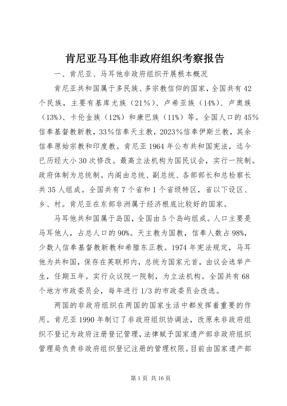 2023年肯尼亚马耳他非政府组织考察报告.docx_第1页