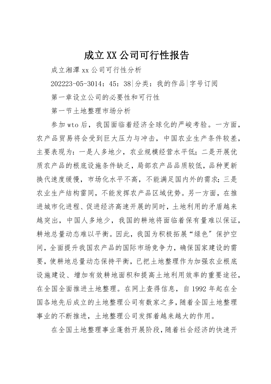 2023年成立XX公司可行性报告新编.docx_第1页