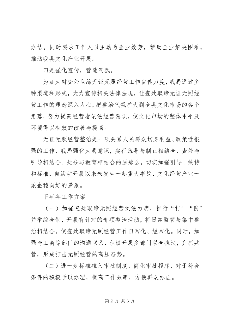 2023年县文广新局查处无证无照经营工作报告.docx_第2页