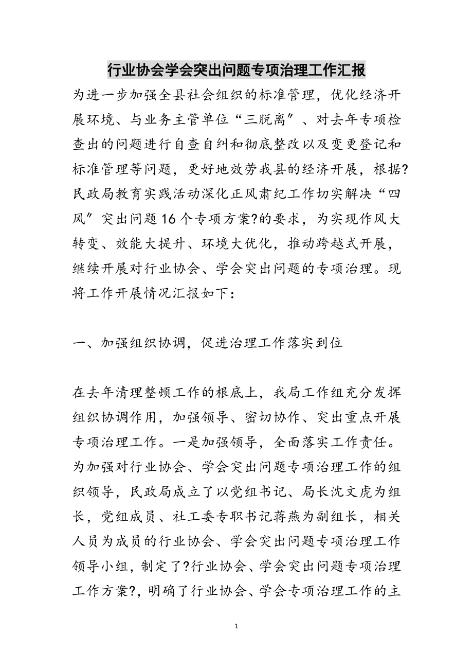 2023年行业协会学会突出问题专项治理工作汇报范文.doc_第1页