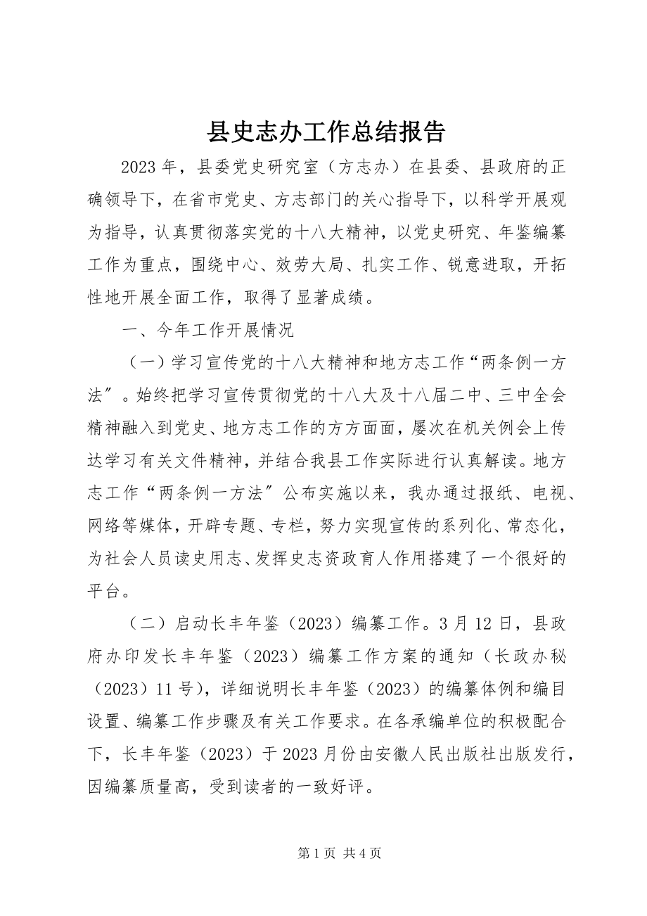 2023年县史志办工作总结报告.docx_第1页