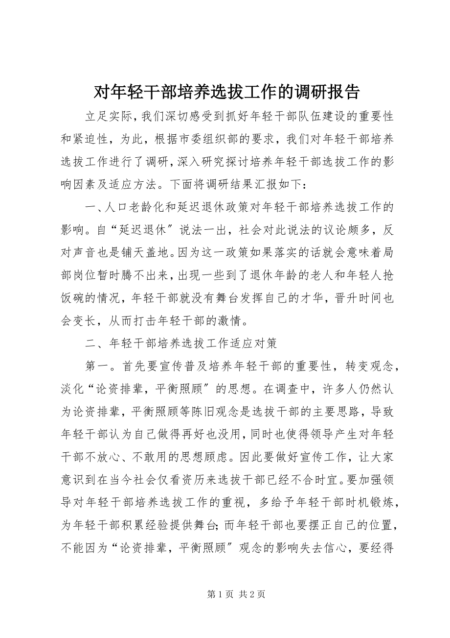 2023年对年轻干部培养选拔工作的调研报告.docx_第1页