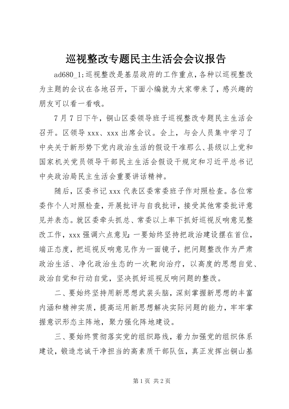 2023年巡视整改专题民主生活会会议报告.docx_第1页