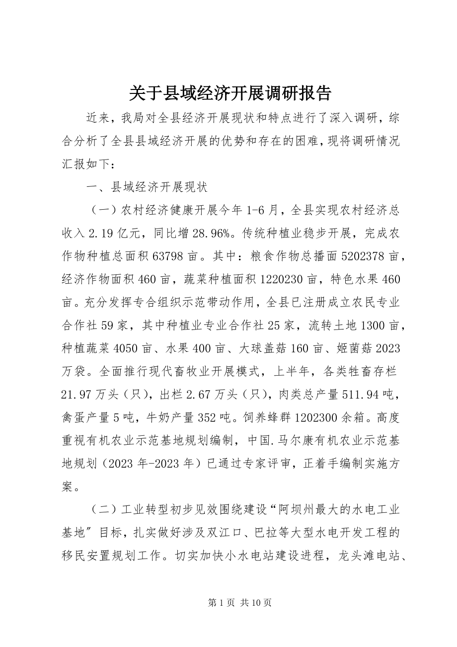 2023年县域经济发展调研报告.docx_第1页