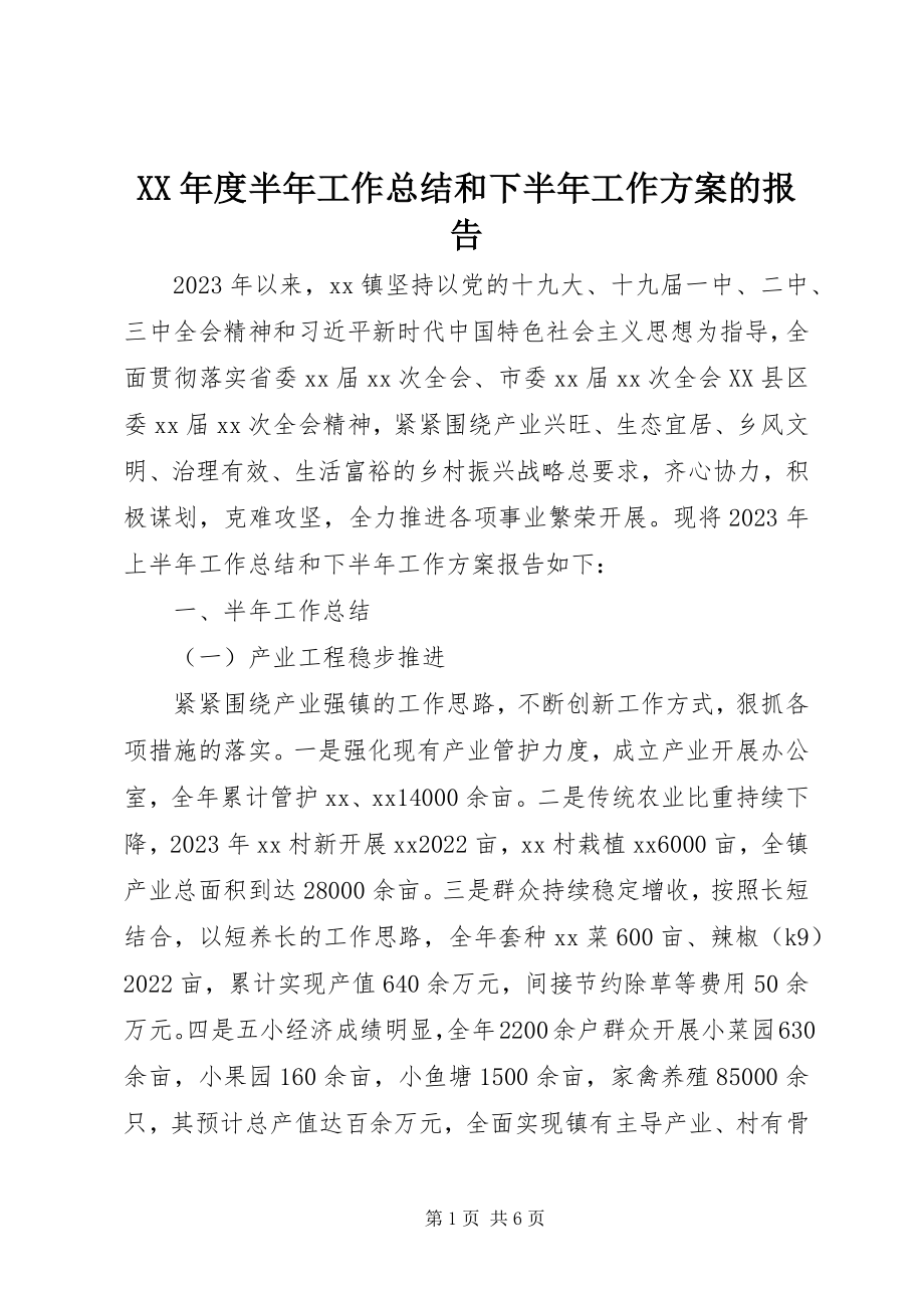 2023年半工作总结和下半工作计划的报告2.docx_第1页