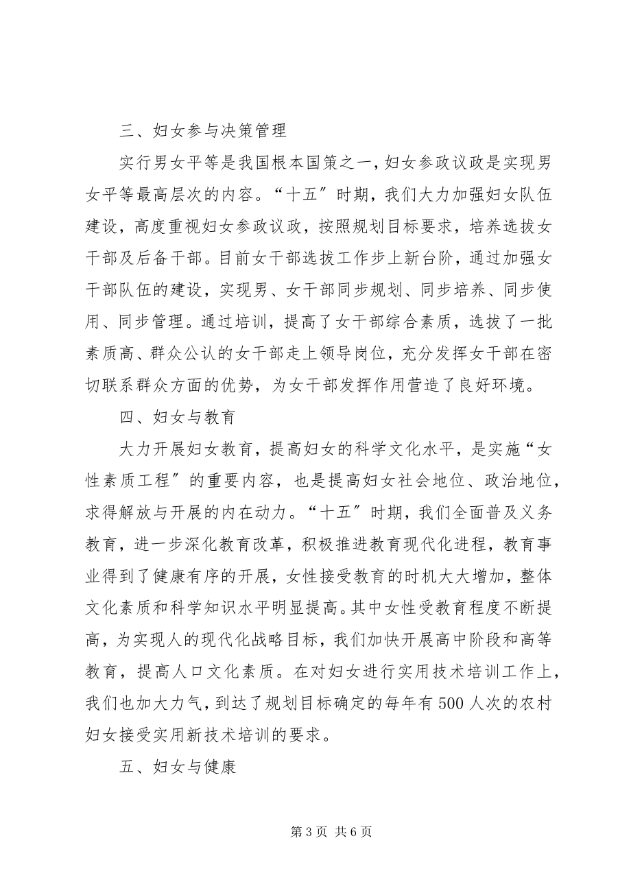 2023年十五妇女发展规划终期评估报告.docx_第3页