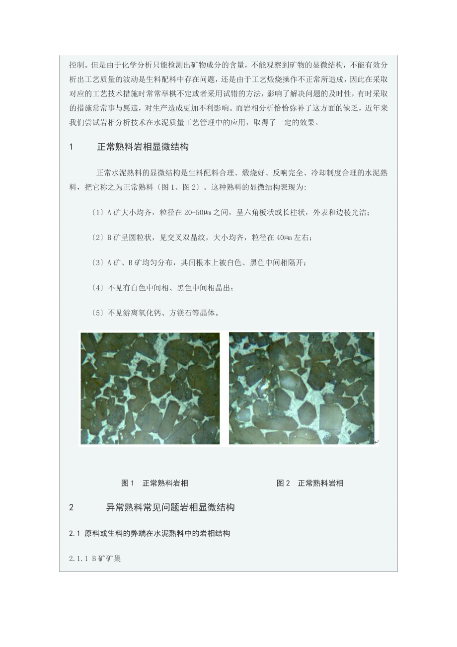 2023年岩相分析在中联水泥质量控制中发挥大作用.docx_第2页