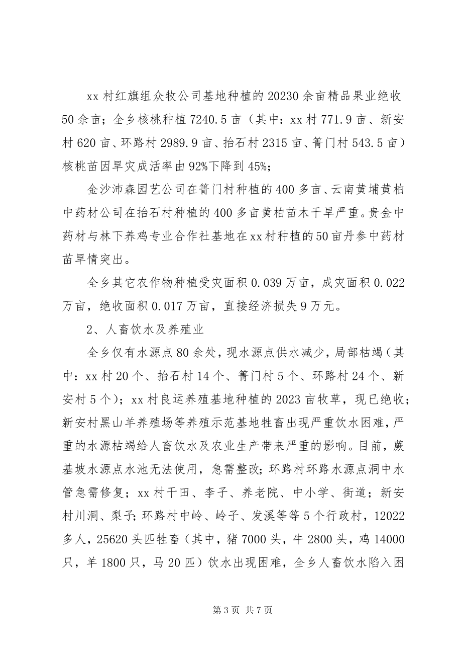 2023年旱灾情况的报告.docx_第3页