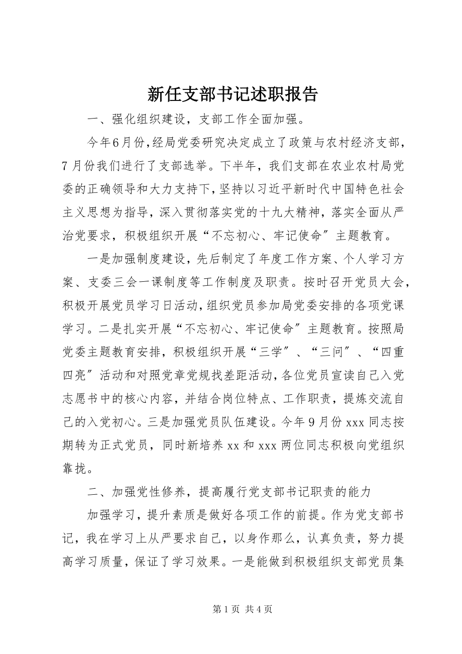 2023年新任支部书记述职报告.docx_第1页