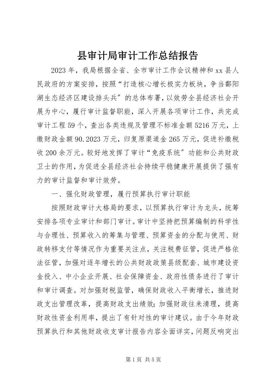 2023年县审计局审计工作总结报告.docx_第1页