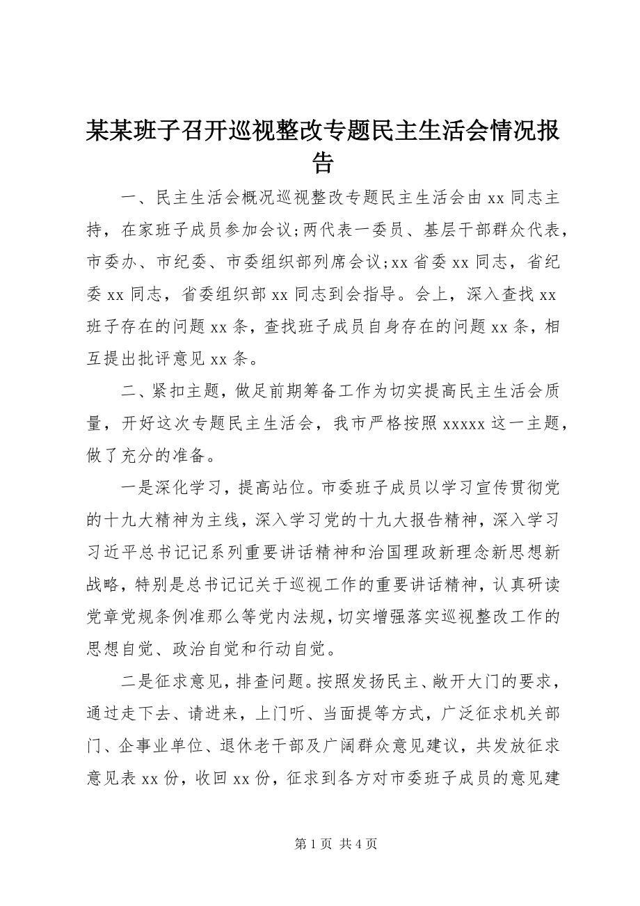 2023年某某班子召开巡视整改专题民主生活会情况报告.docx_第1页