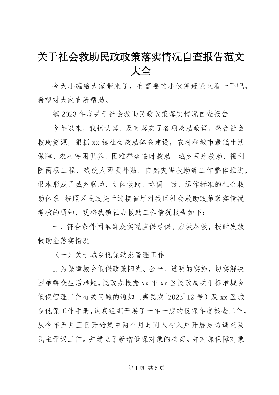 2023年社会救助民政政策落实情况自查报告大全.docx_第1页