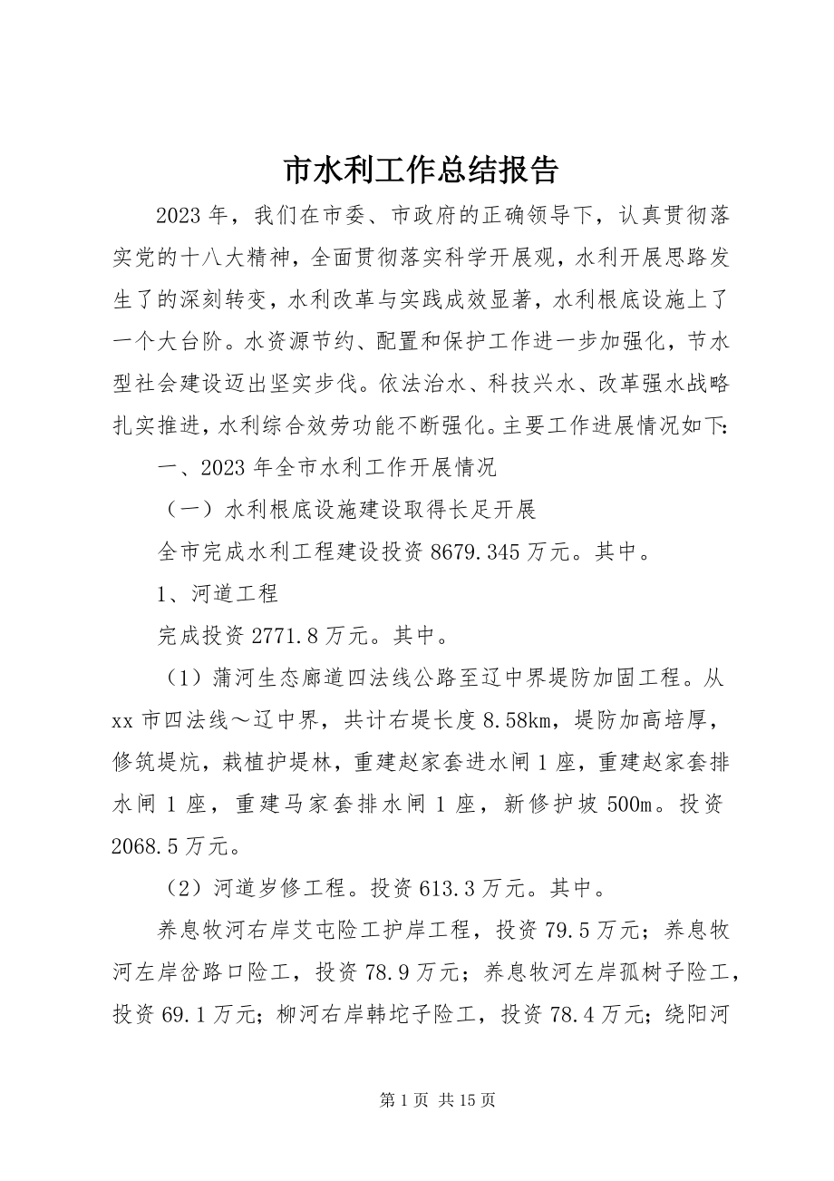 2023年市水利工作总结报告.docx_第1页