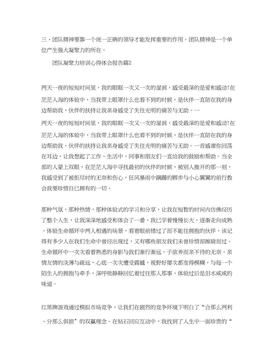 2023年团队凝聚力培训心得体会报告.docx_第2页