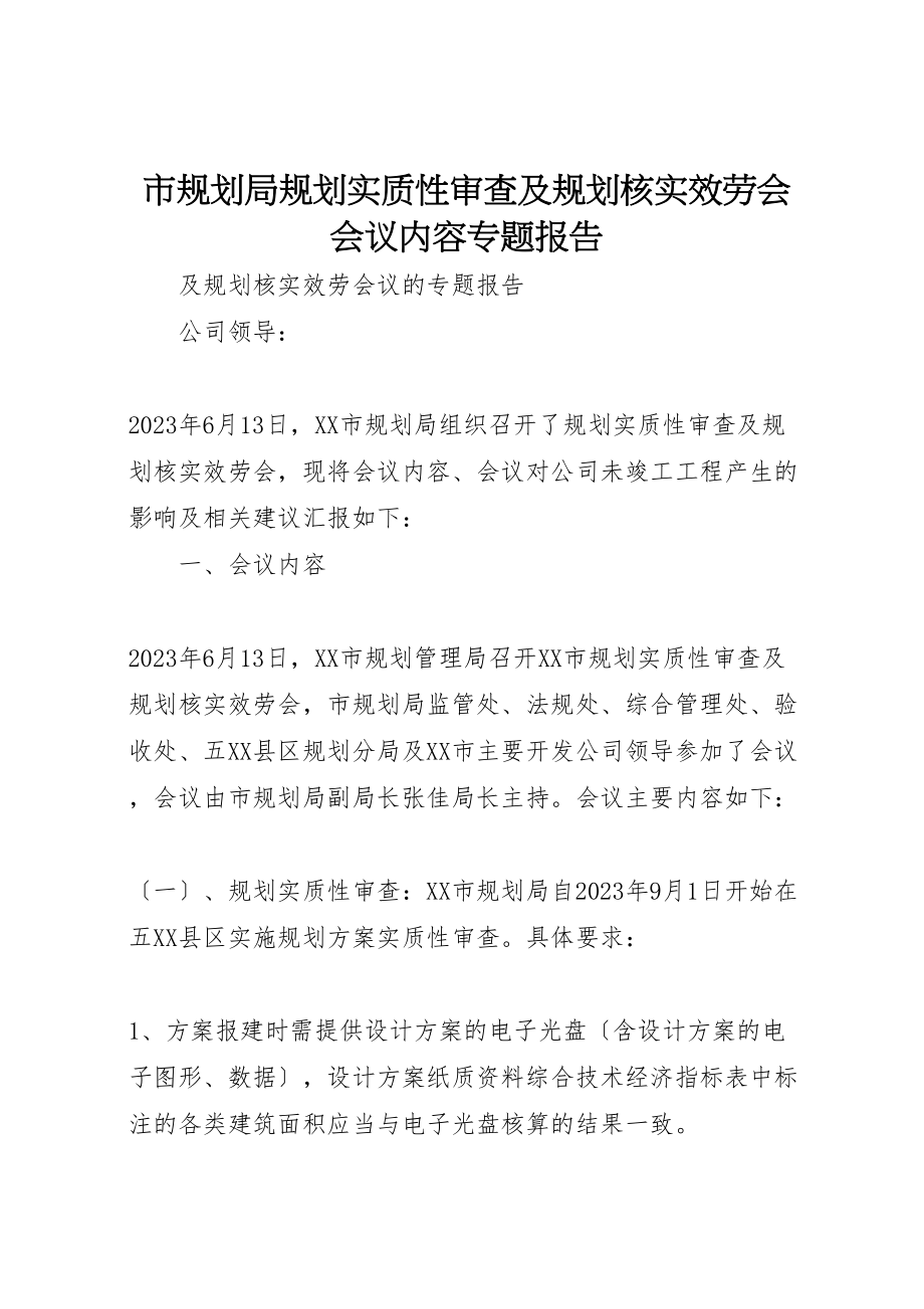 2023年市规划局规划实质性审查及规划核实服务会会议内容专题报告.doc_第1页