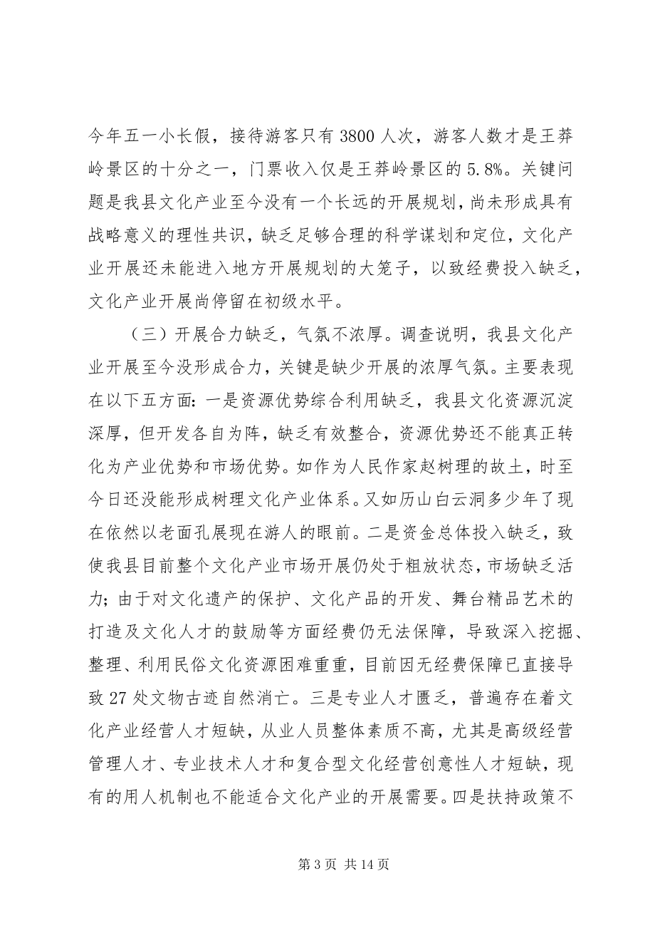 2023年对县文化产业发展情况的调研报告.docx_第3页