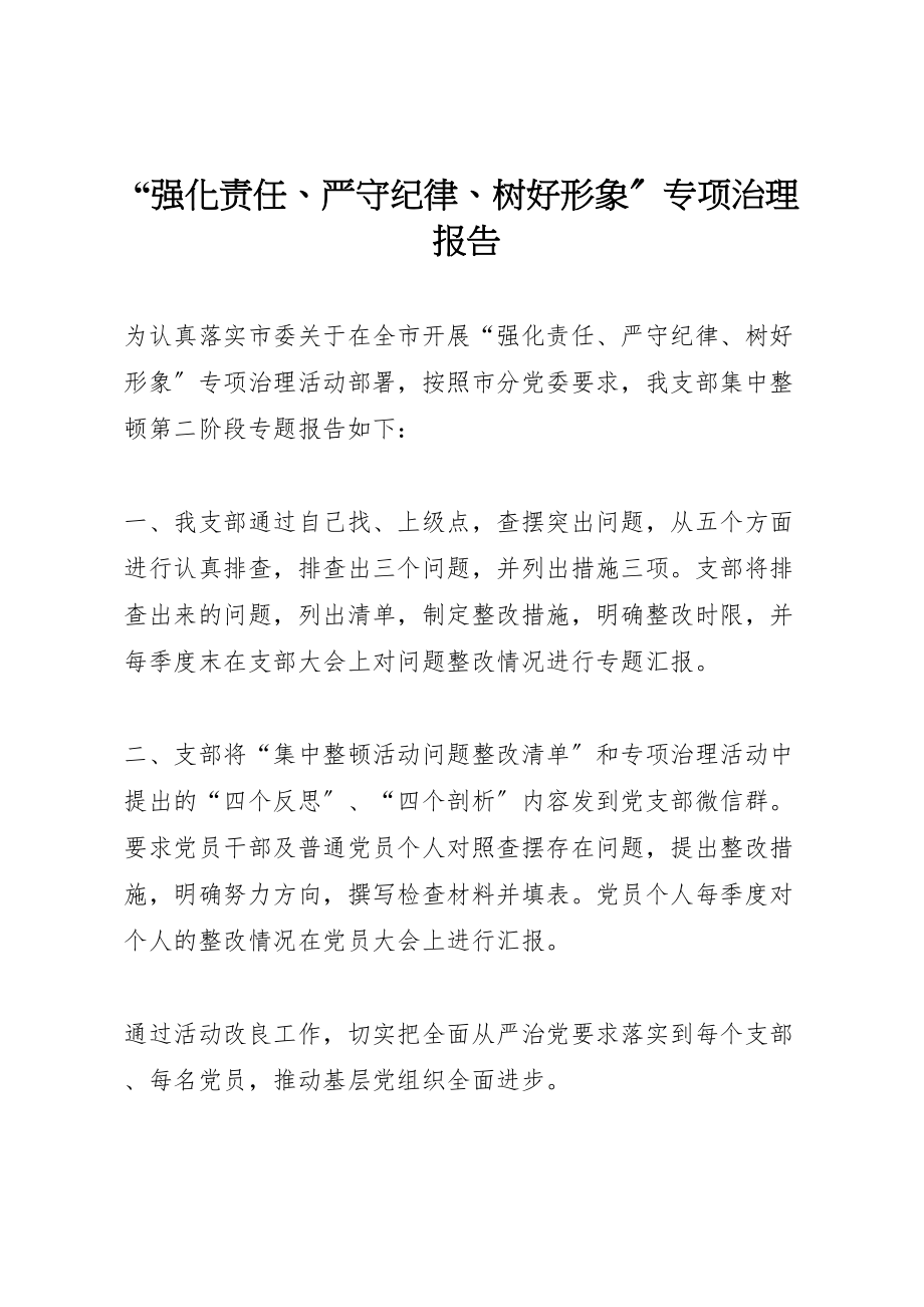 2023年年强化责任严守纪律树好形象专项治理报告 .doc_第1页