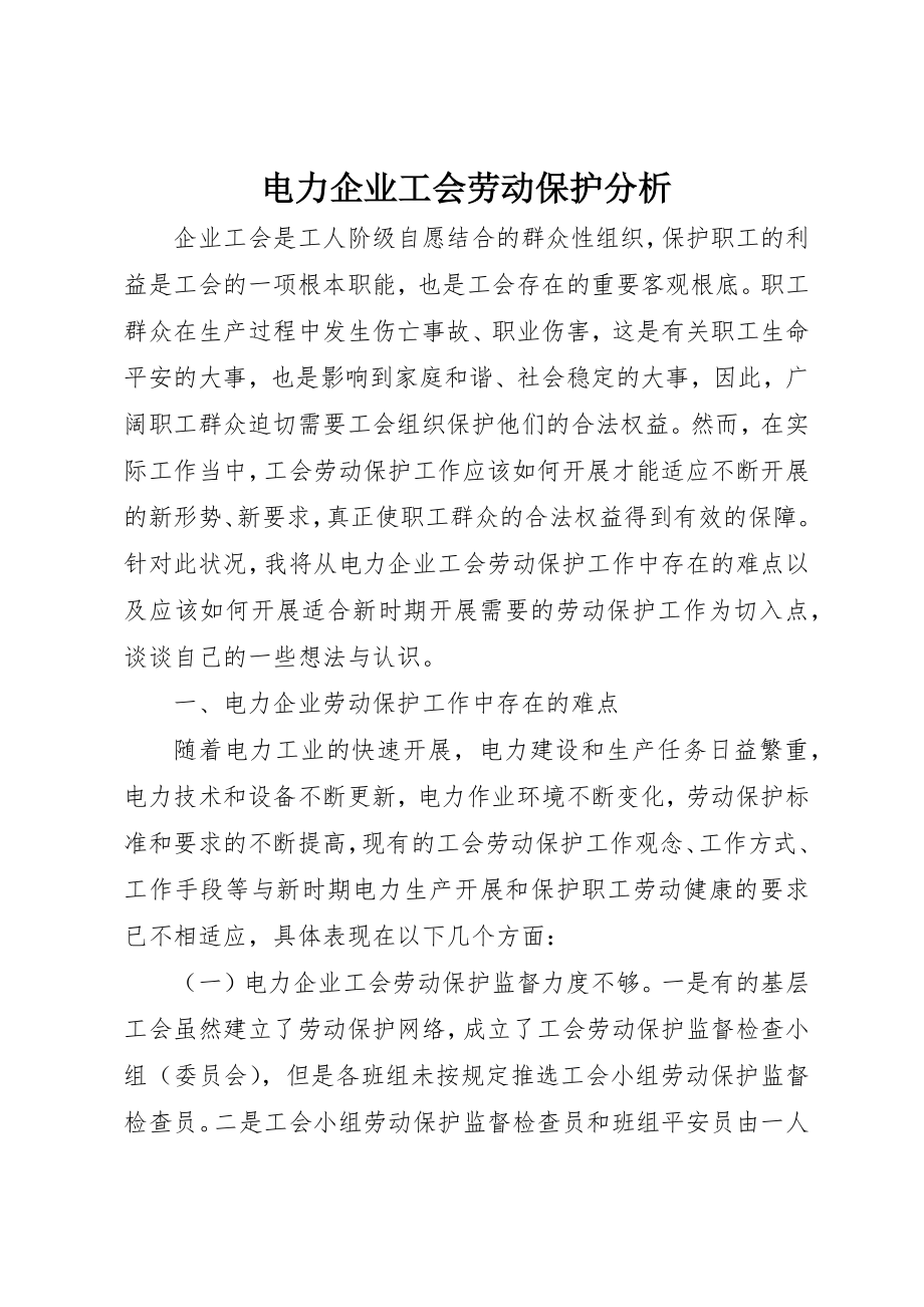 2023年电力企业工会劳动保护分析新编.docx_第1页